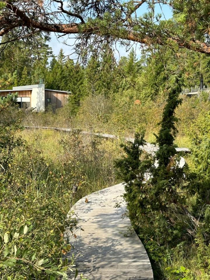 Maven Kustnaera Stugor Kappelshamn Bagian luar foto